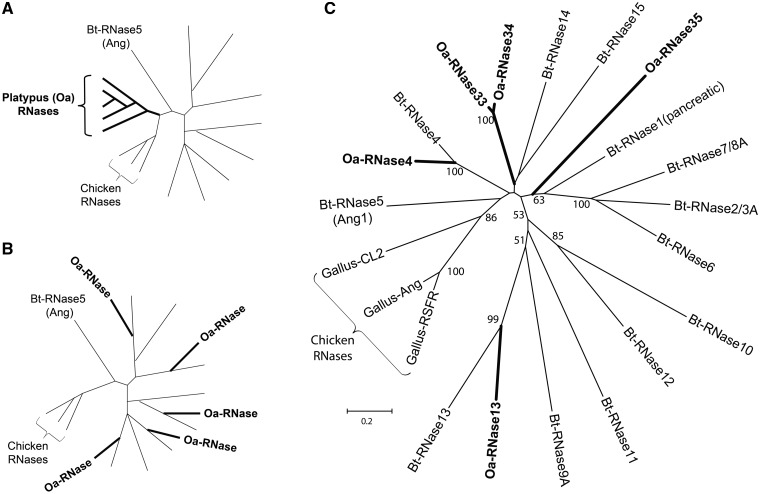 Fig. 2.—