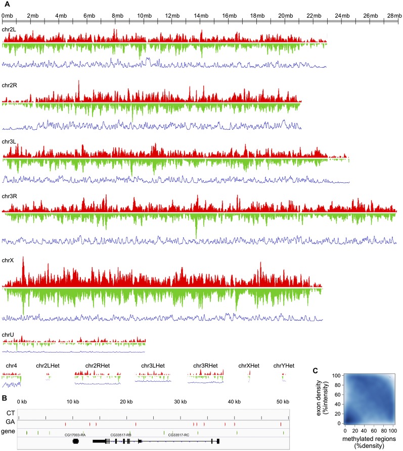 Figure 2.