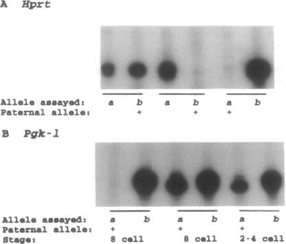 graphic file with name pnas01095-0506-b.jpg