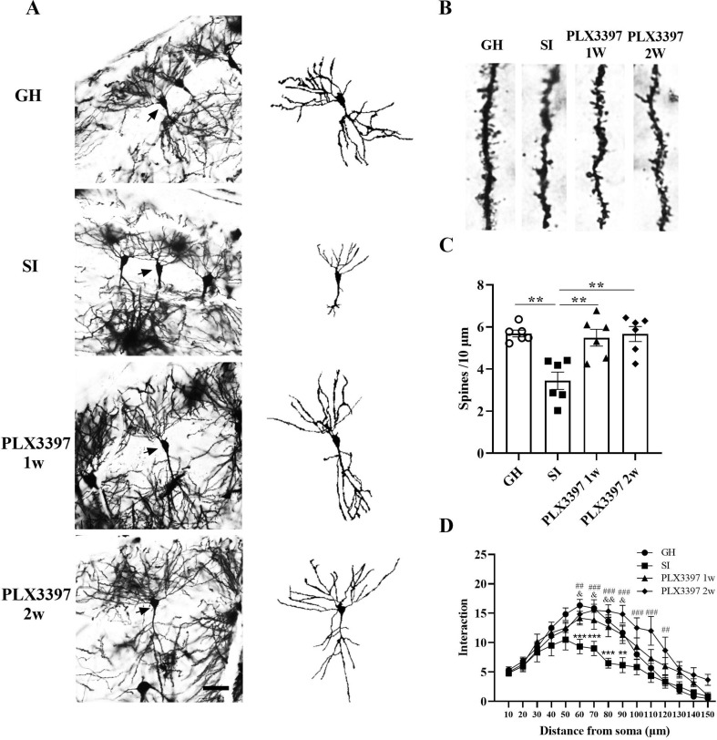 Fig. 7