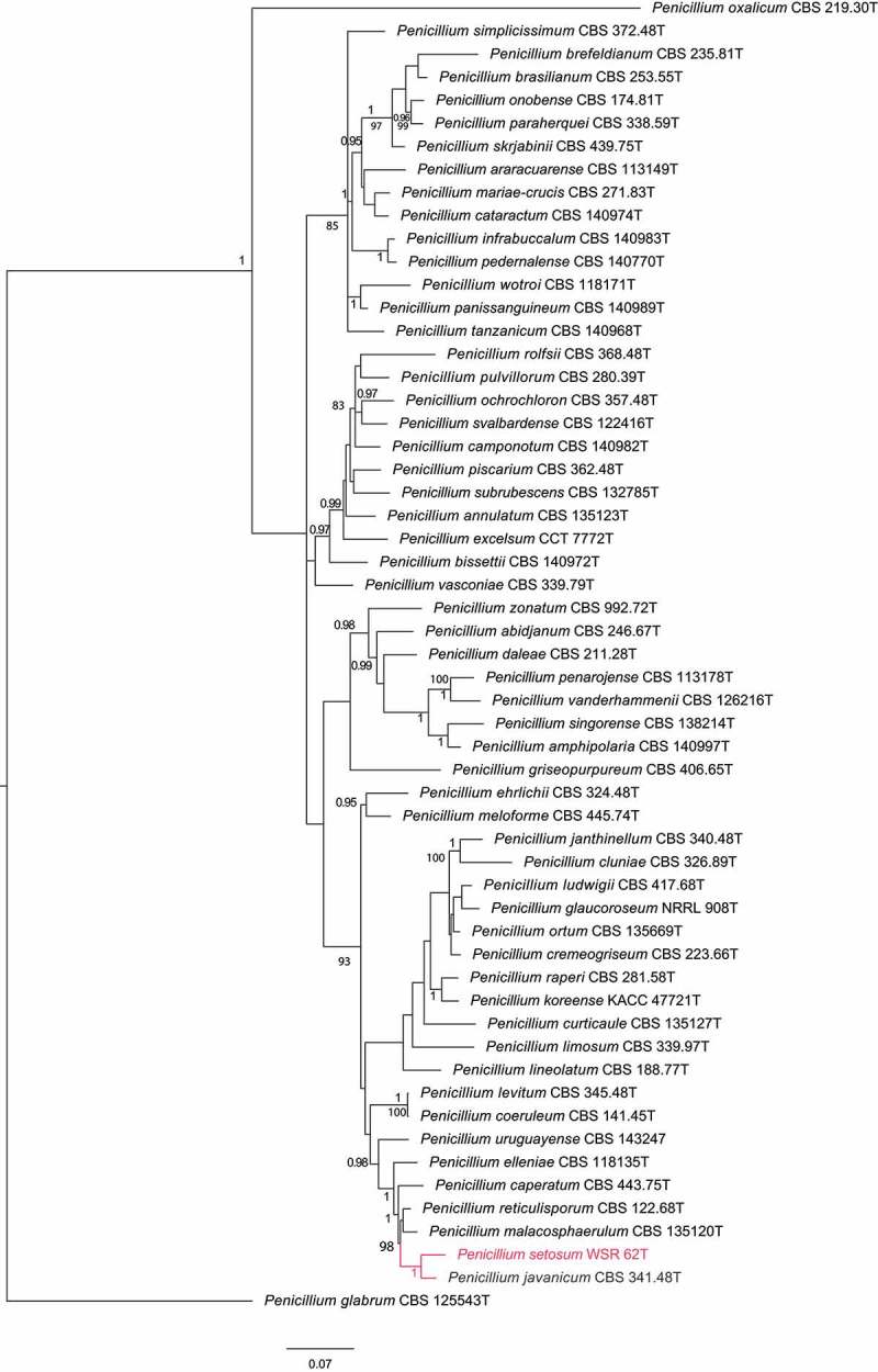 Figure 2.