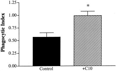 FIG. 6