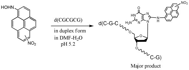 SCHEME 2