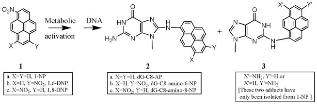 SCHEME 1