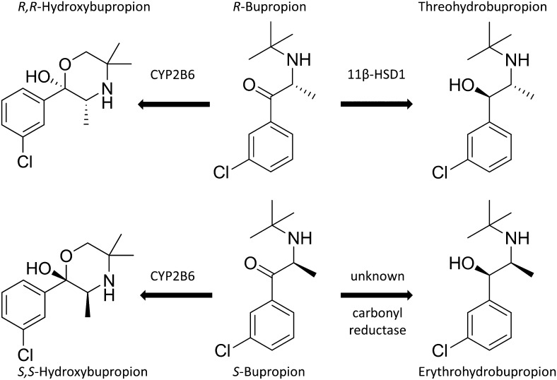 Fig. 8.