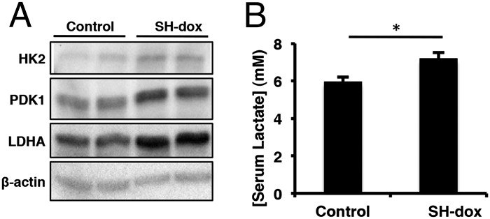 Fig. 5.