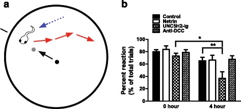 Fig. 13