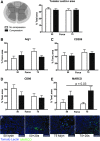 <b>FIG. 3.</b>