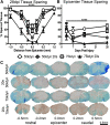 <b>FIG. 2.</b>