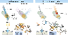 Fig. 4 |