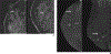Fig. 4—