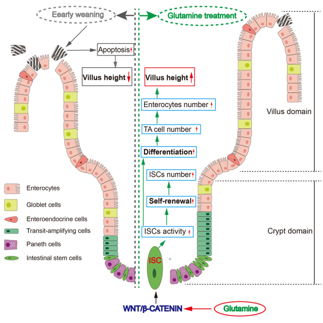 graphic file with name fx1.jpg