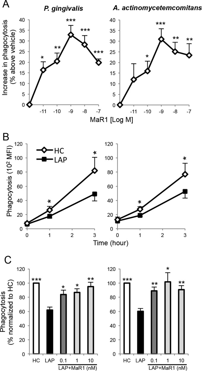 FIG 2