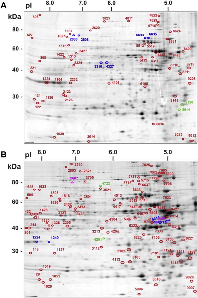 Fig. 3S