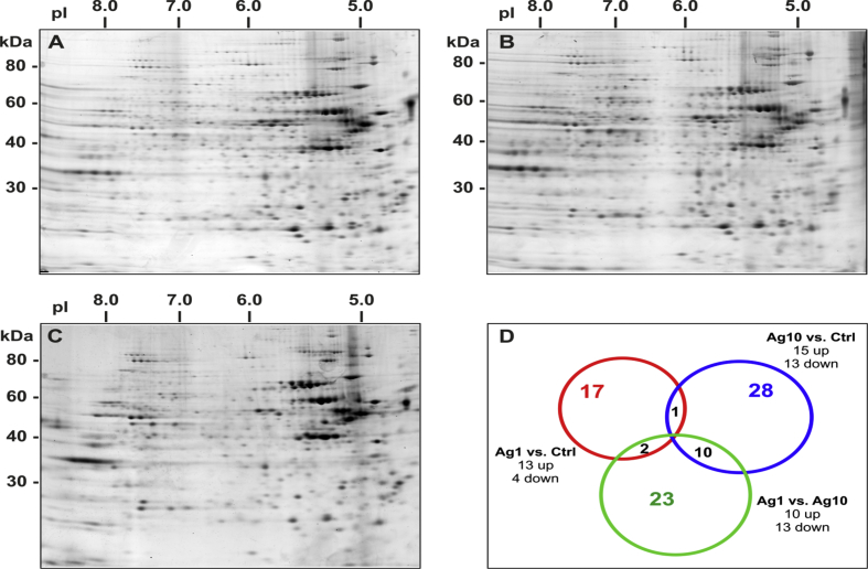 Fig. 2S