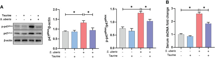 Figure 7