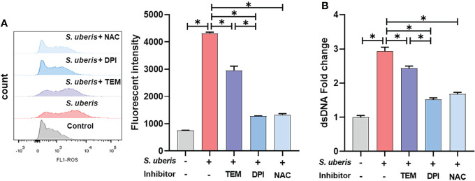 Figure 2