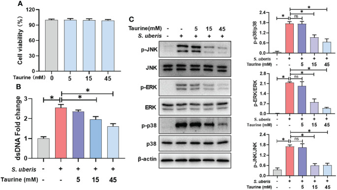 Figure 5