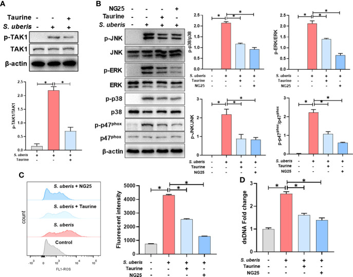 Figure 6