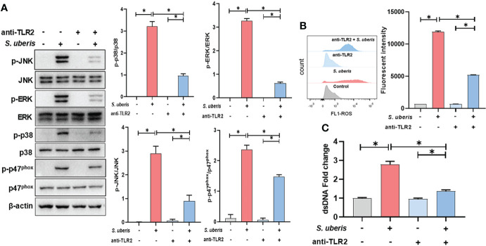 Figure 4