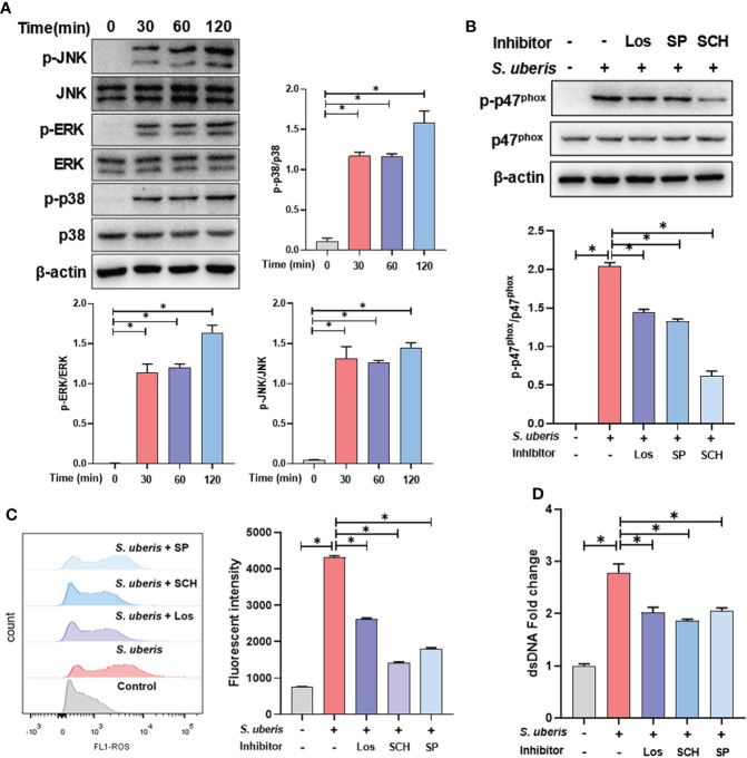 Figure 3