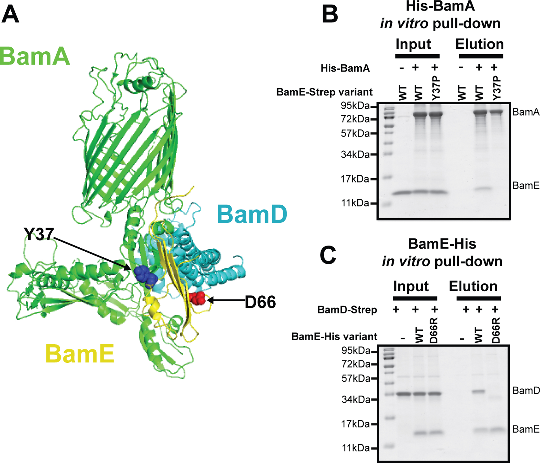 Figure 2.