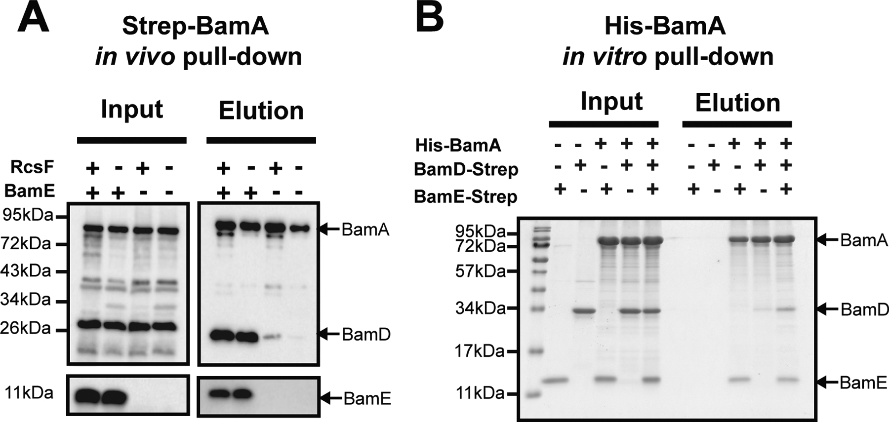 Figure1.