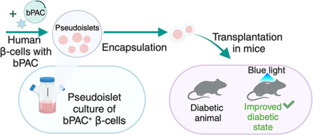 graphic file with name sb3c00653_0007.jpg