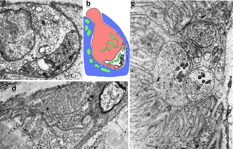 Fig. 9