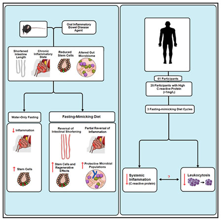 graphic file with name nihms-1523259-f0007.jpg