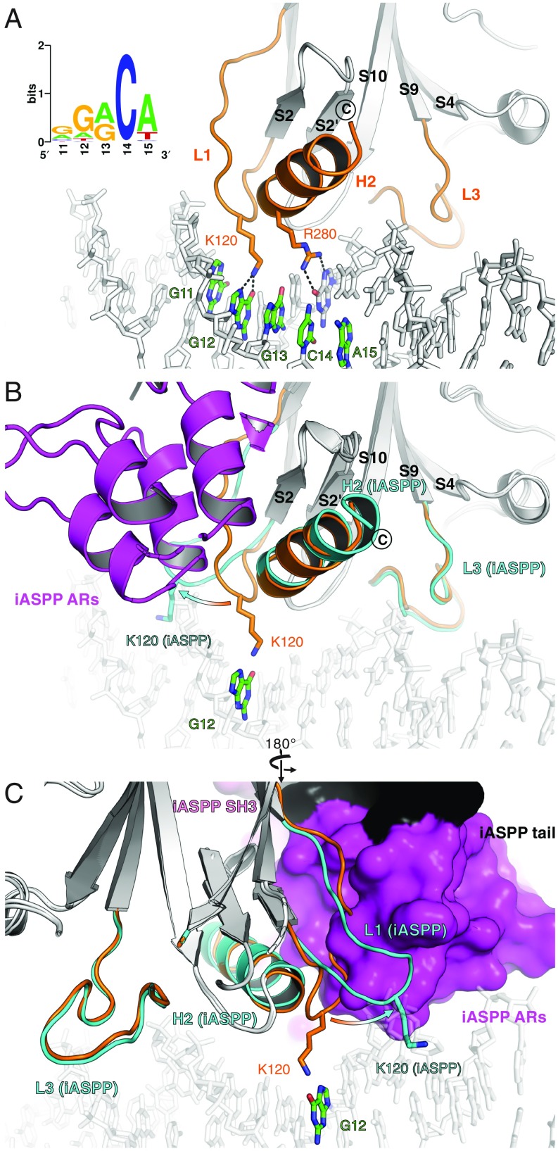 Fig. 4.