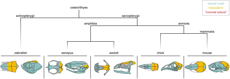 Figure 3.