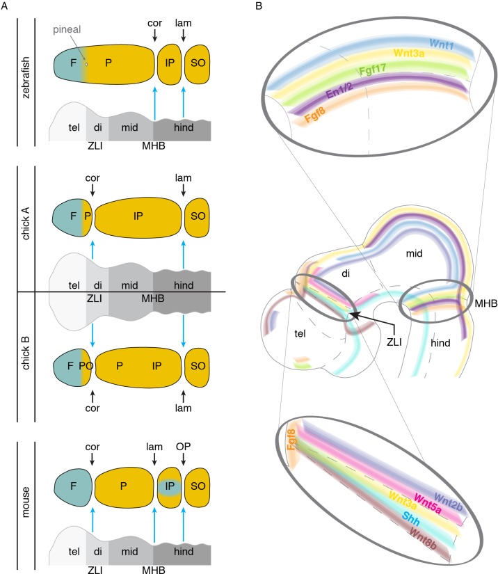 Figure 4.