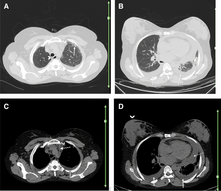 Fig. 5