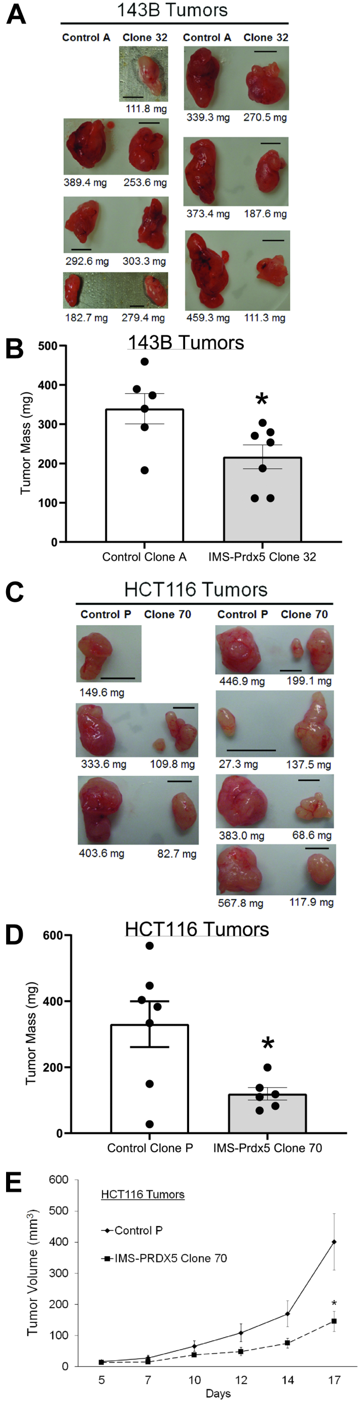 Figure 5