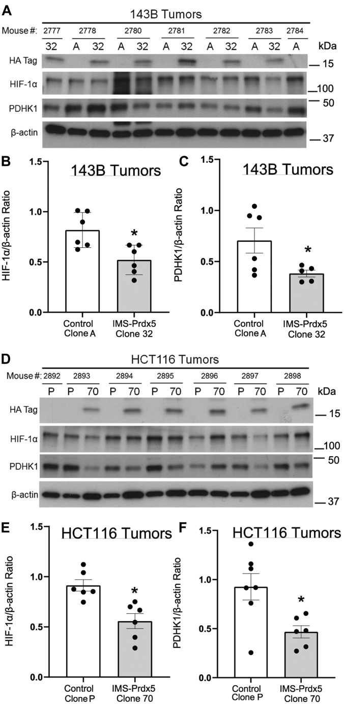 Figure 6