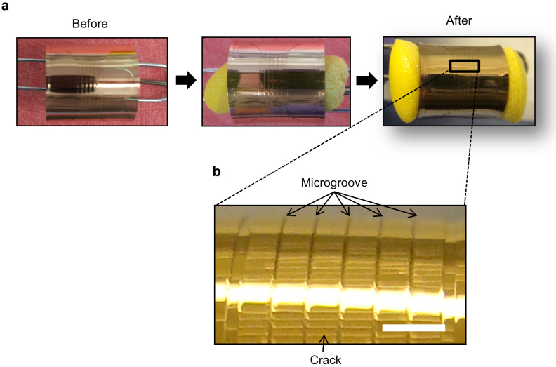 Figure 5