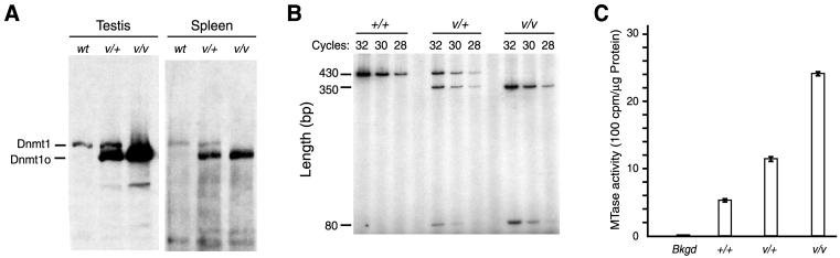 Fig 2.