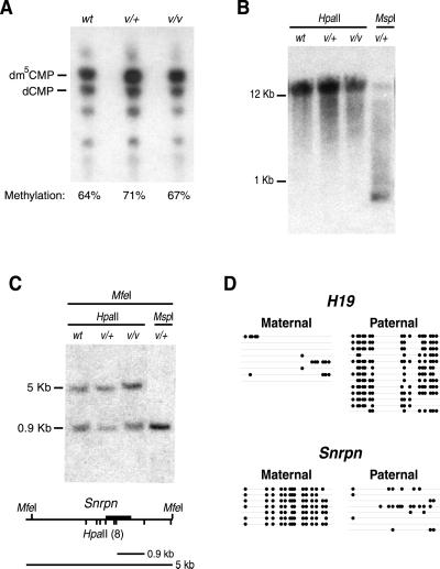 Fig 3.