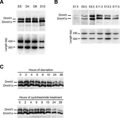 Fig 4.