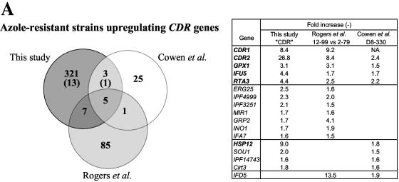 FIG. 7.