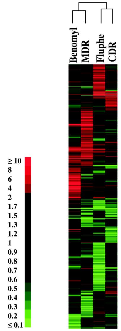 FIG. 2.