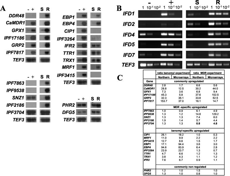 FIG. 6.