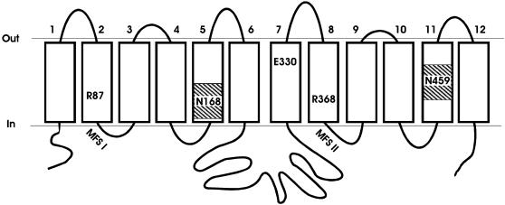 Fig. 1.