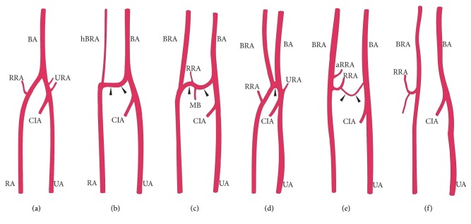 Figure 8