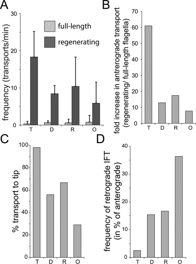 FIGURE 9: