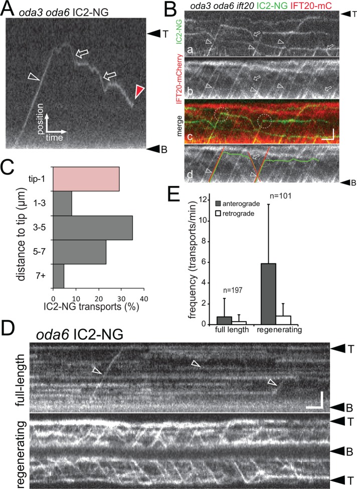 FIGURE 2: