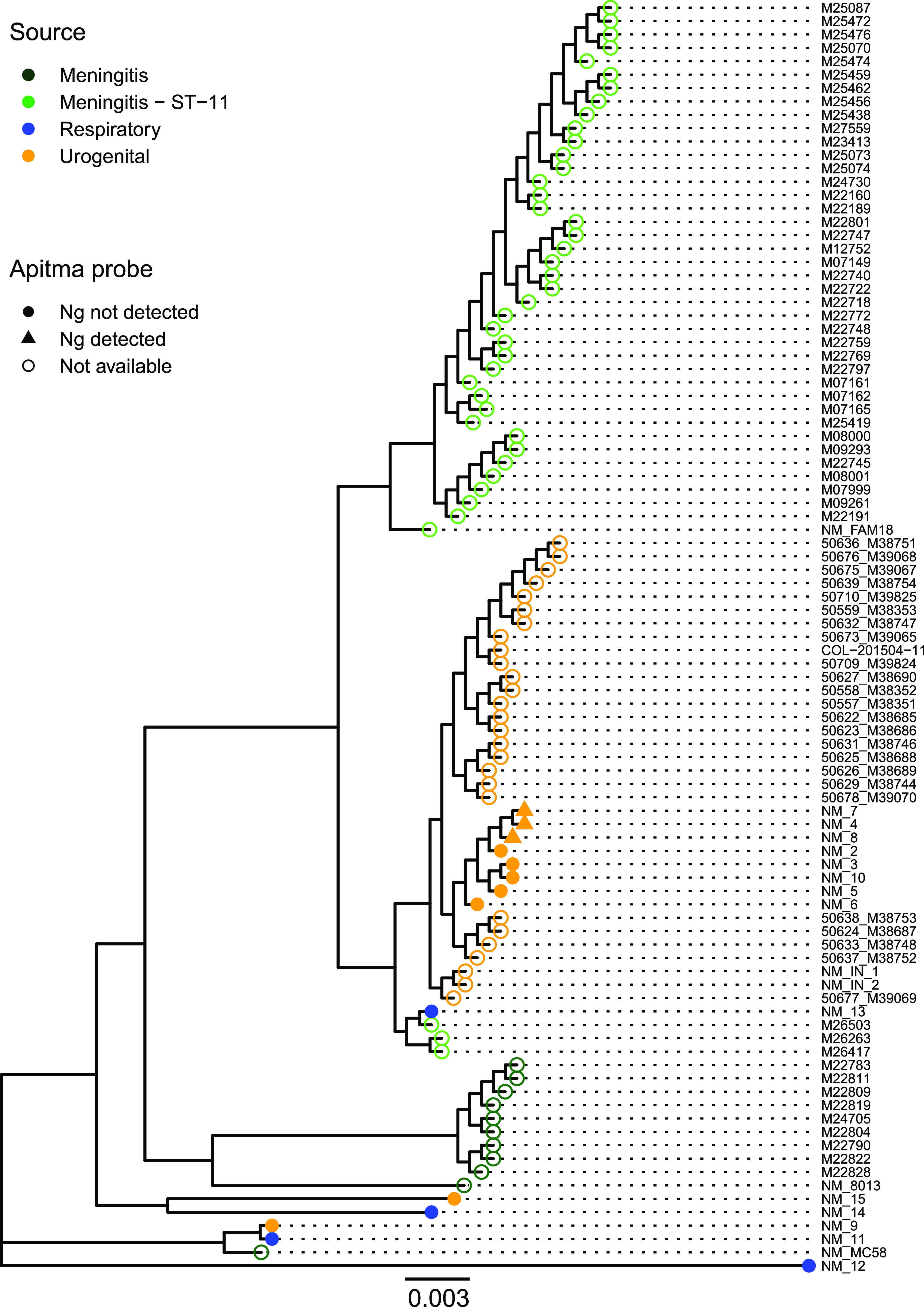 FIG 2