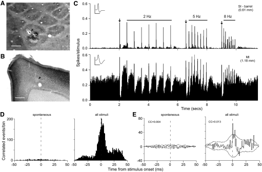 FIG. 8.