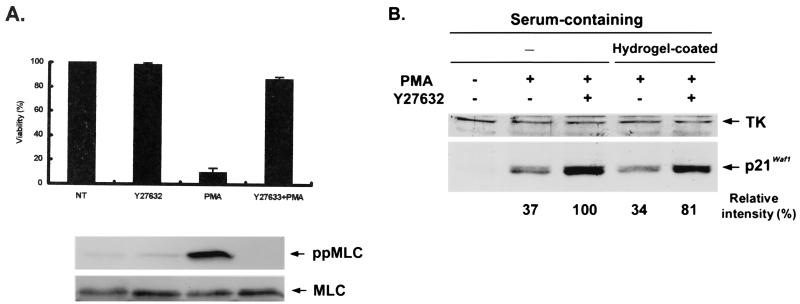 FIG. 10.